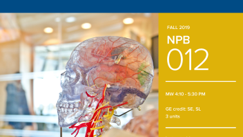 Fall 2019 UC Davis University Honors Program Course: NPB 12