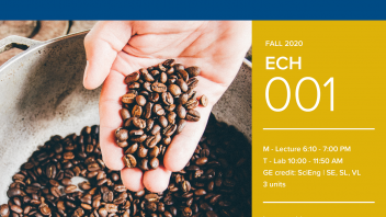 Fall 2020 University Honors Program Course: ECH 1