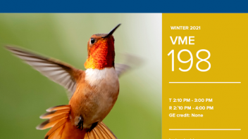 Winter 2021 University Honors Program Course: VME 198