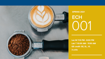 Spring 2021: ECH 1