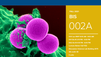 Fall 2021: BIS 2A