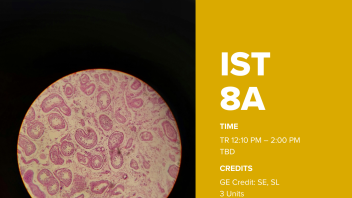 IST8A