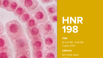 HNR 198