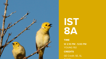 IST 8A