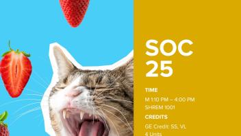 SOC25