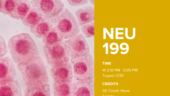NEU199