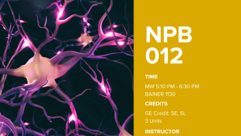 NPB 12