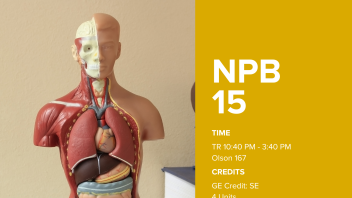 NPB 15