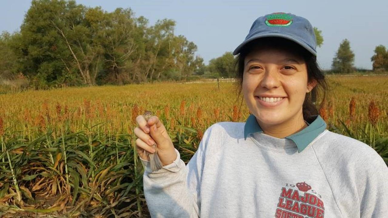 UC Davis University Honors Program Student Danielle Fradet