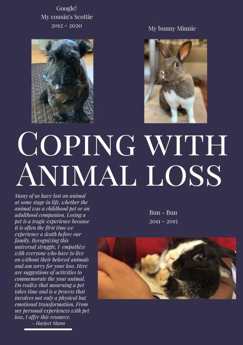 Animal Loss Flyer